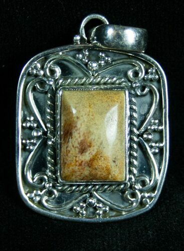 Fossil Coral Pendant - Sterling Silver #7276